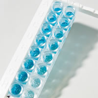 Ringbio ELISA platform