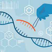 Ringbio PCR platform